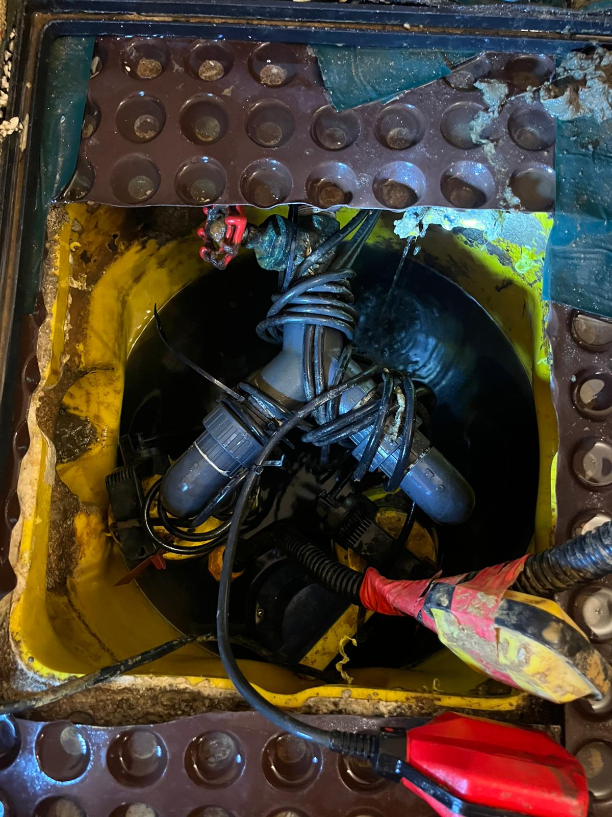 WhatsApp Image 2025 02 03 at 21.25.34